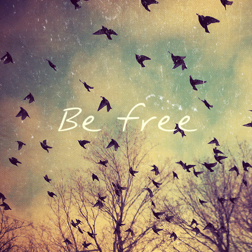 be-be-free-bird-free-Favim.com-591483