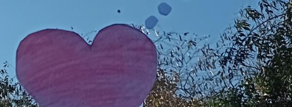 Ano 13 Nº 65/2025 Confusões