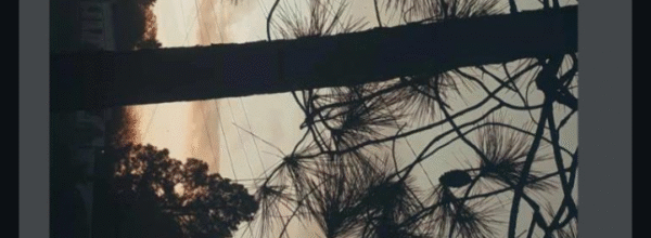 Ano 13 Nº 80/2025 A travessia